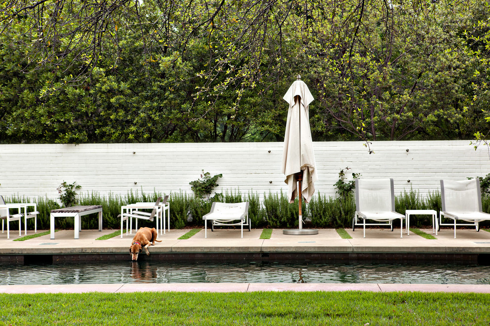 Pool - contemporary rectangular pool idea in Dallas