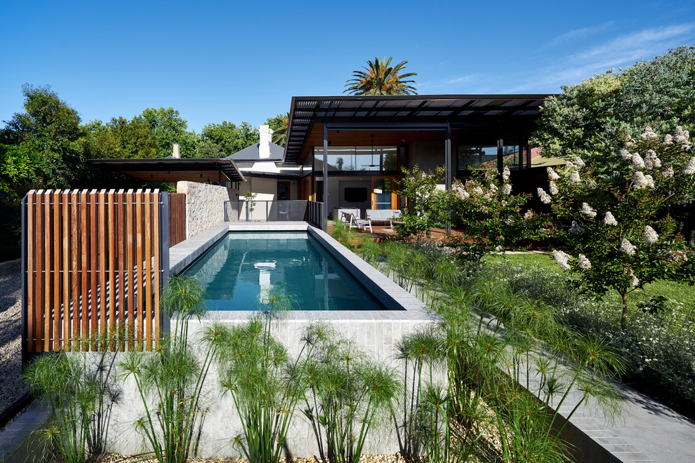 Идея дизайна: спортивный, прямоугольный бассейн на заднем дворе в современном стиле с покрытием из бетонных плит