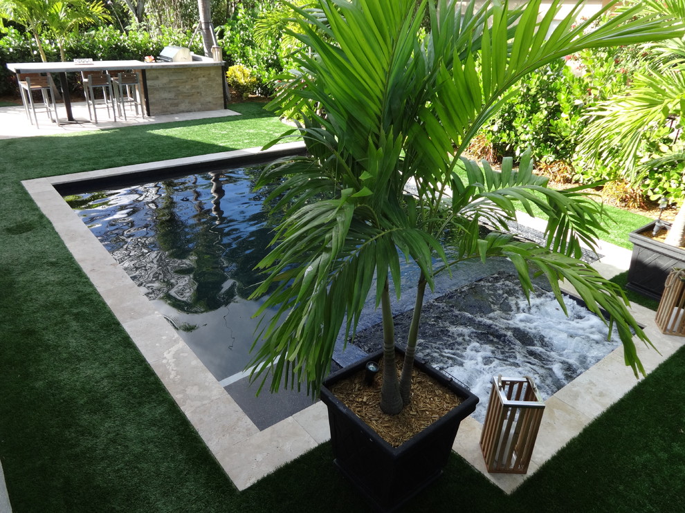 Inspiration for a small contemporary back rectangular swimming pool in Miami.