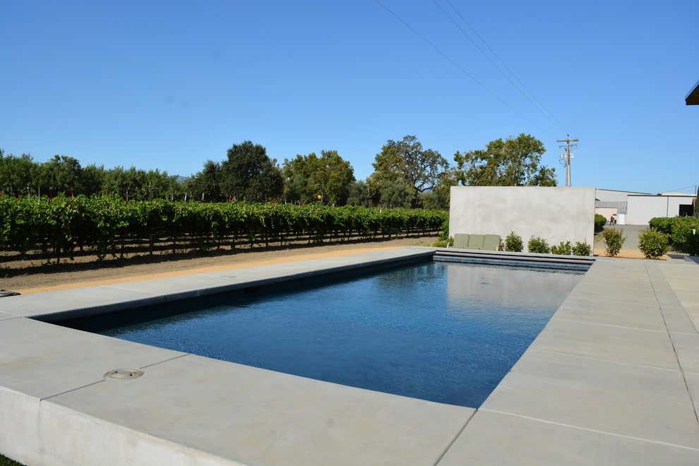 Idéer för att renovera en mellanstor funkis rektangulär pool på baksidan av huset, med betongplatta