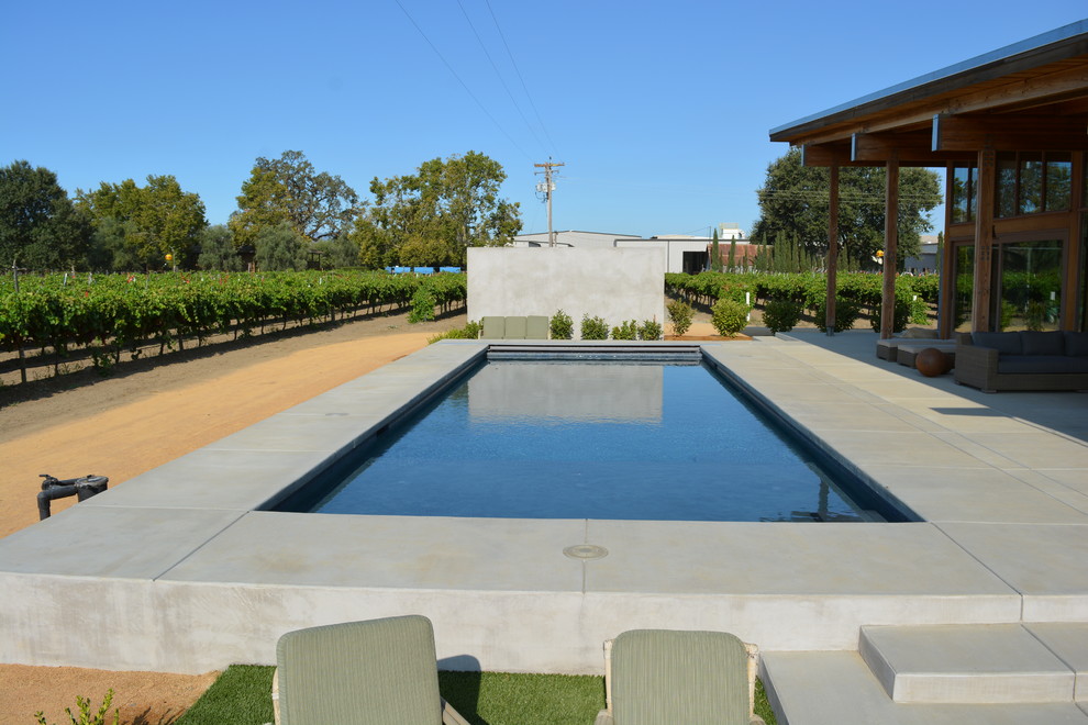 Mittelgroßer Moderner Pool hinter dem Haus in rechteckiger Form mit Betonplatten in Sacramento