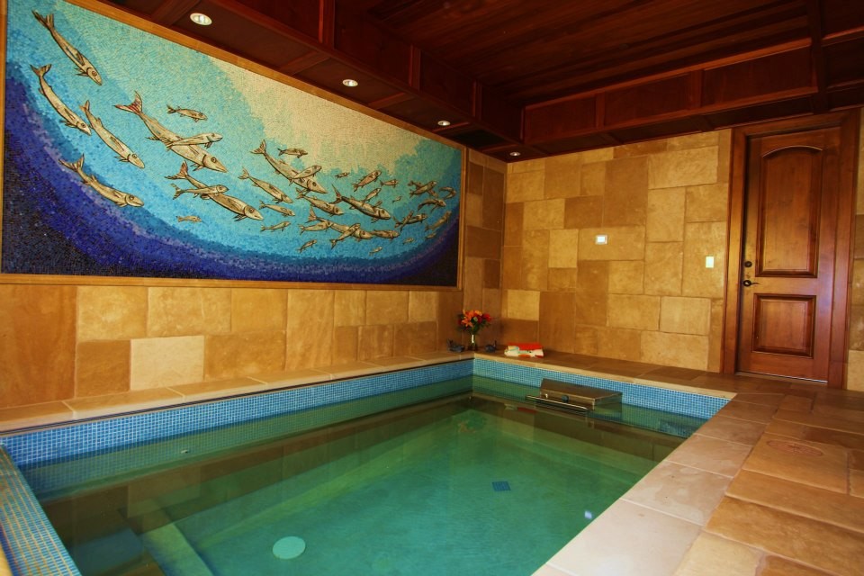 Content Indoor Swim Spa with Beautiful Tile Mural Transitional Pool