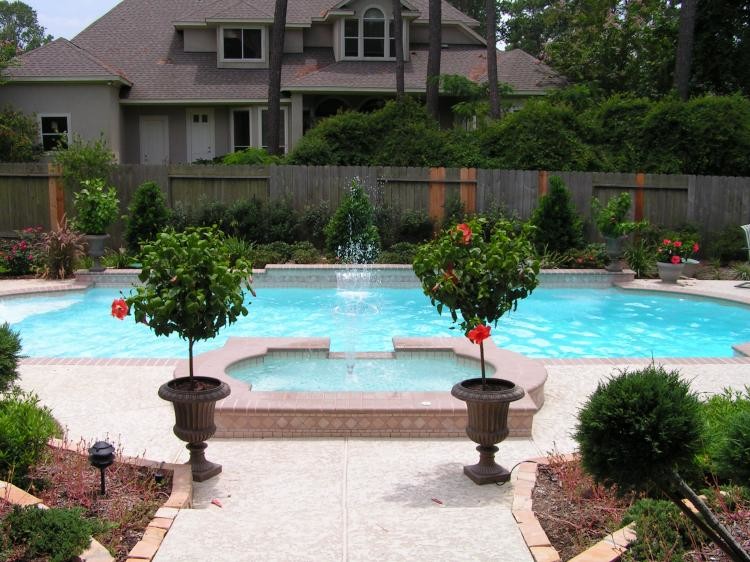 Foto di una piscina naturale classica personalizzata dietro casa