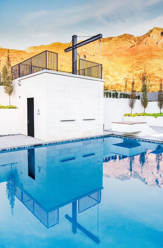 Идея дизайна: большой прямоугольный, спортивный бассейн на заднем дворе в современном стиле с покрытием из плитки