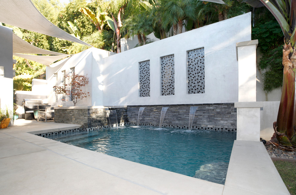 This is an example of a contemporary rectangular swimming pool in Los Angeles.