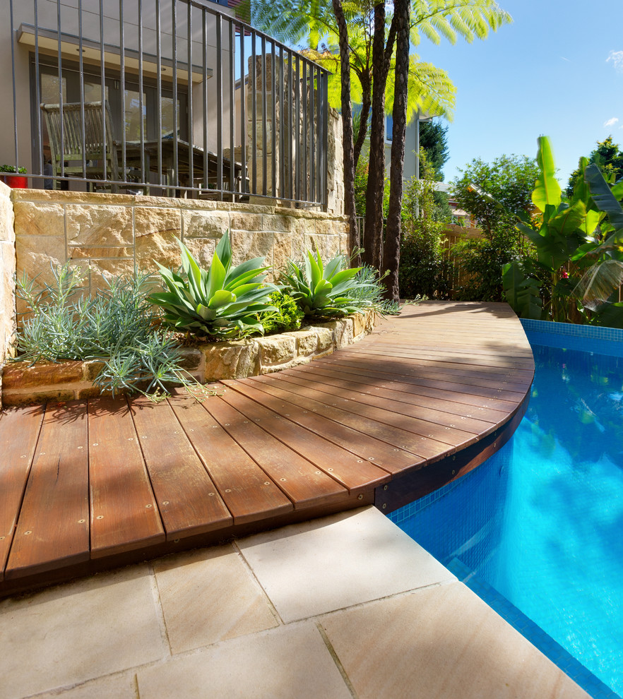 Curved Swimming Pool Contemporary Pool Sydney by Space Landscape Designs Houzz