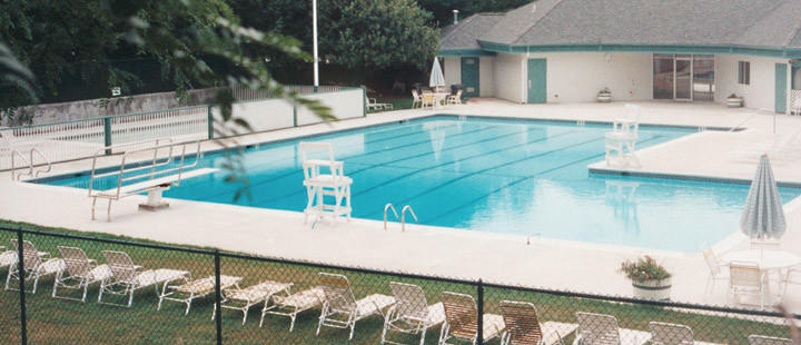 Foto de piscinas y jacuzzis modernos grandes a medida en patio trasero con suelo de hormigón estampado