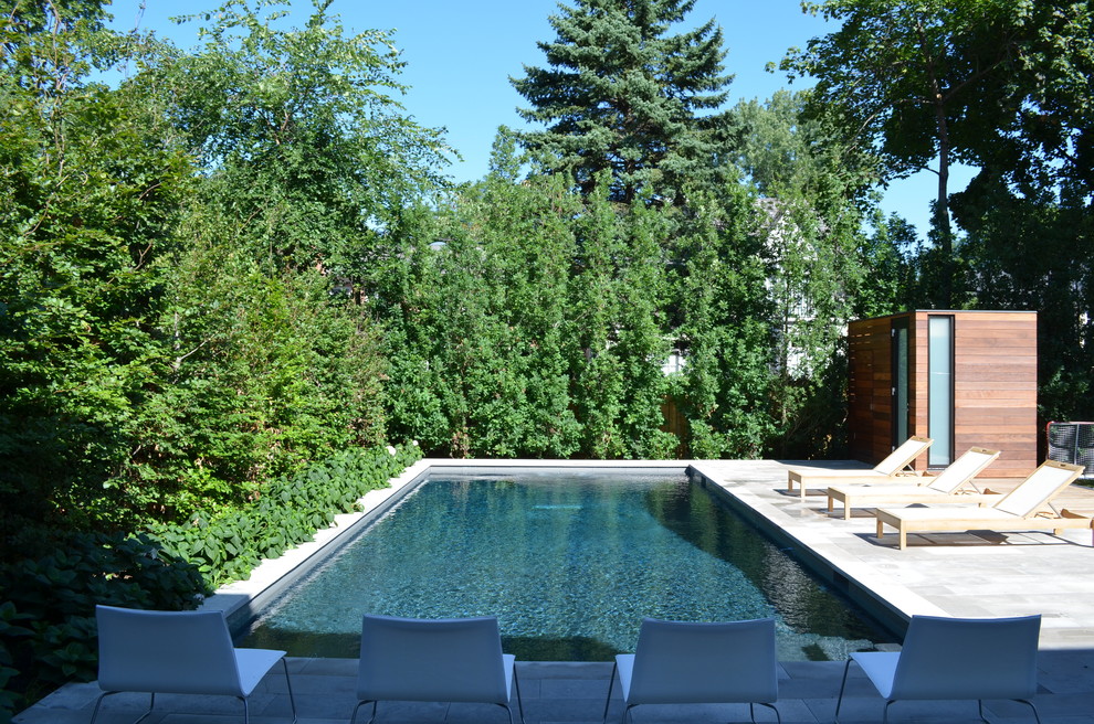 Custom Concrete Pools Contemporary Pool Toronto by User Houzz