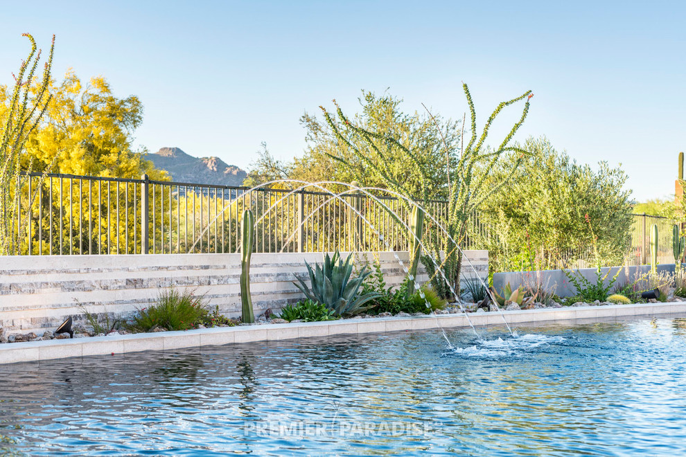 This is an example of a large modern backyard custom-shaped infinity pool in Phoenix with natural stone pavers.