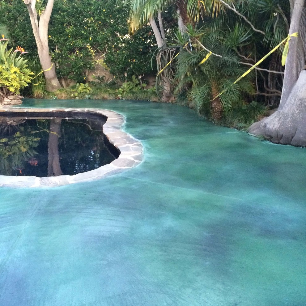 Imagen de piscina natural tropical pequeña tipo riñón en patio trasero con losas de hormigón