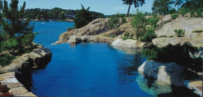 Cette image montre une grande piscine naturelle et arrière ethnique sur mesure avec des pavés en pierre naturelle.