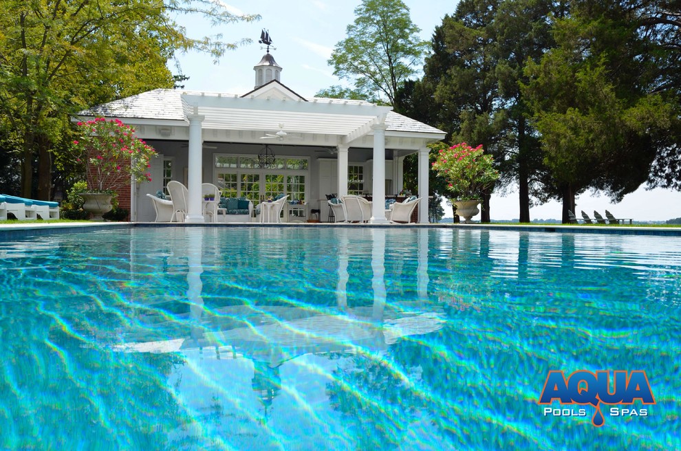 Custom Swimming Pools - Traditional - Pool - DC Metro - by Aqua Pools ...