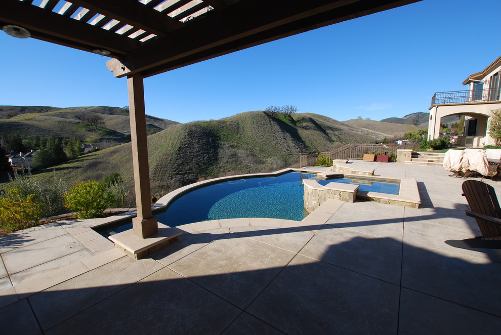 Custom Swimming Pools Contemporary Pool San Francisco by