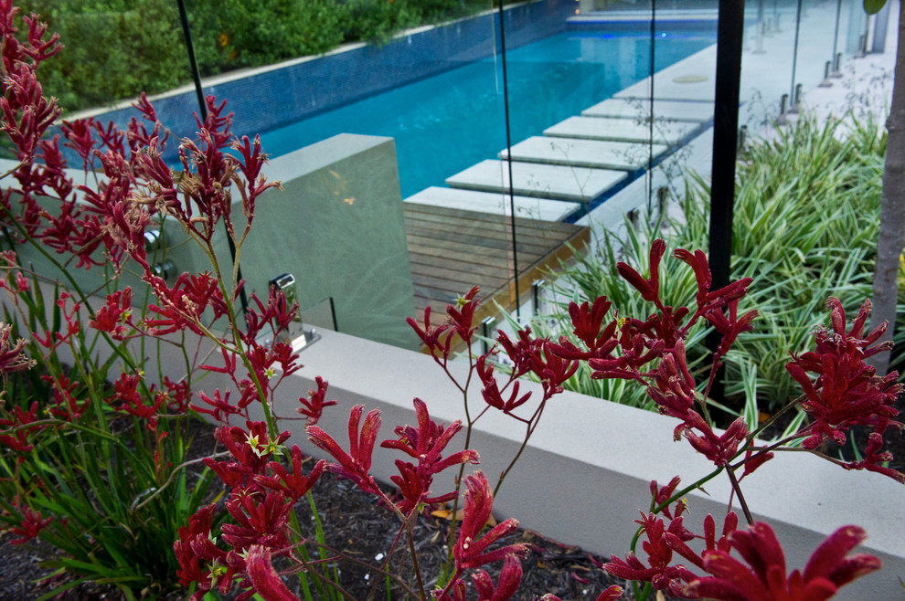 На фото: прямоугольный, естественный бассейн среднего размера на заднем дворе в современном стиле с покрытием из каменной брусчатки