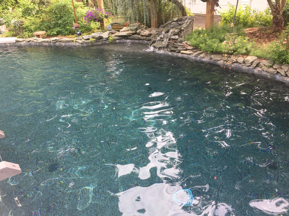 Imagen de piscina natural ecléctica de tamaño medio a medida en patio trasero con losas de hormigón