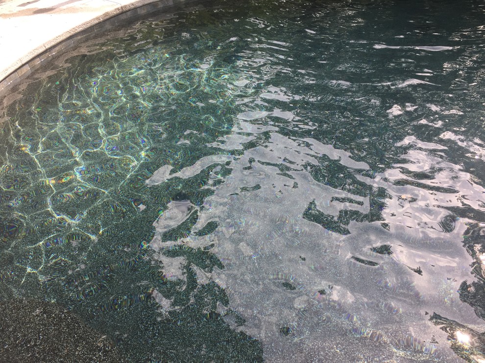Immagine di una piscina naturale boho chic personalizzata di medie dimensioni e dietro casa con lastre di cemento