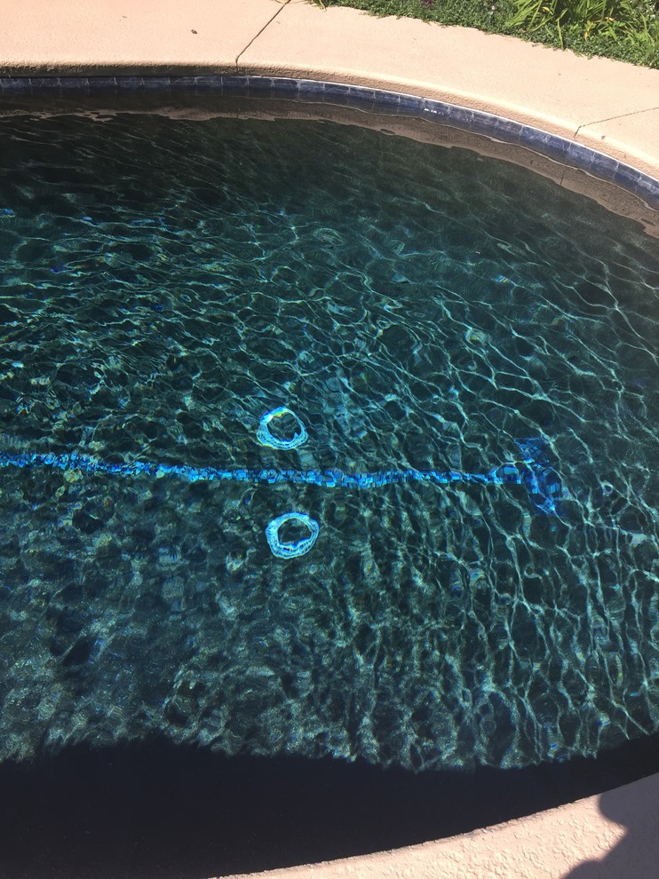 Imagen de piscina natural bohemia de tamaño medio a medida en patio trasero con losas de hormigón