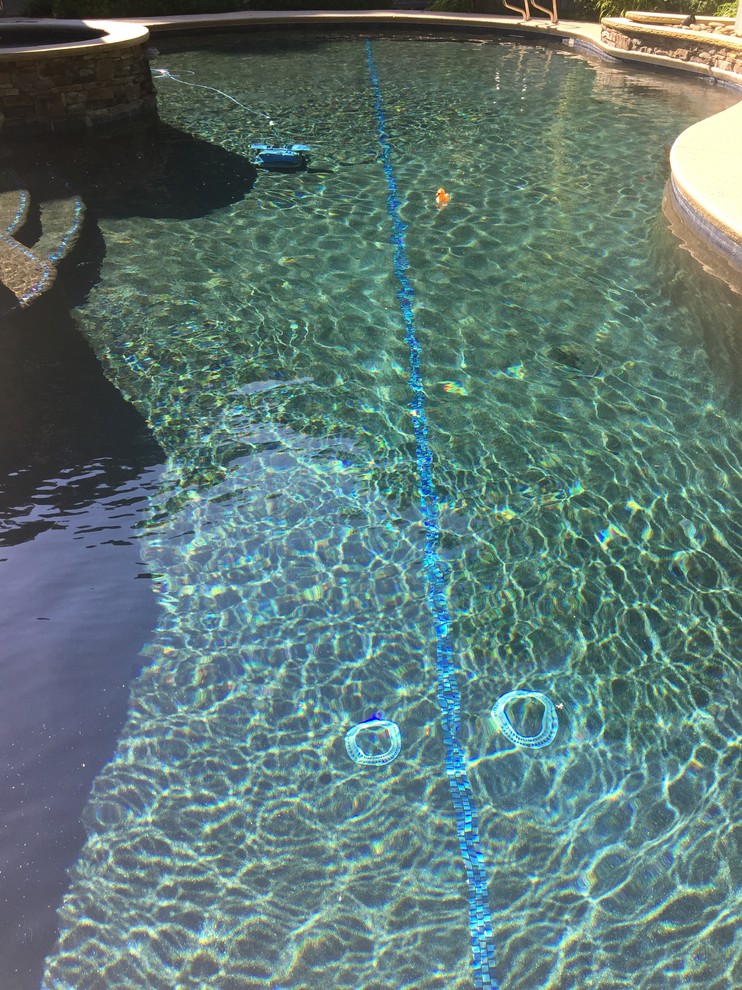 Ejemplo de piscina natural ecléctica de tamaño medio a medida en patio trasero con losas de hormigón