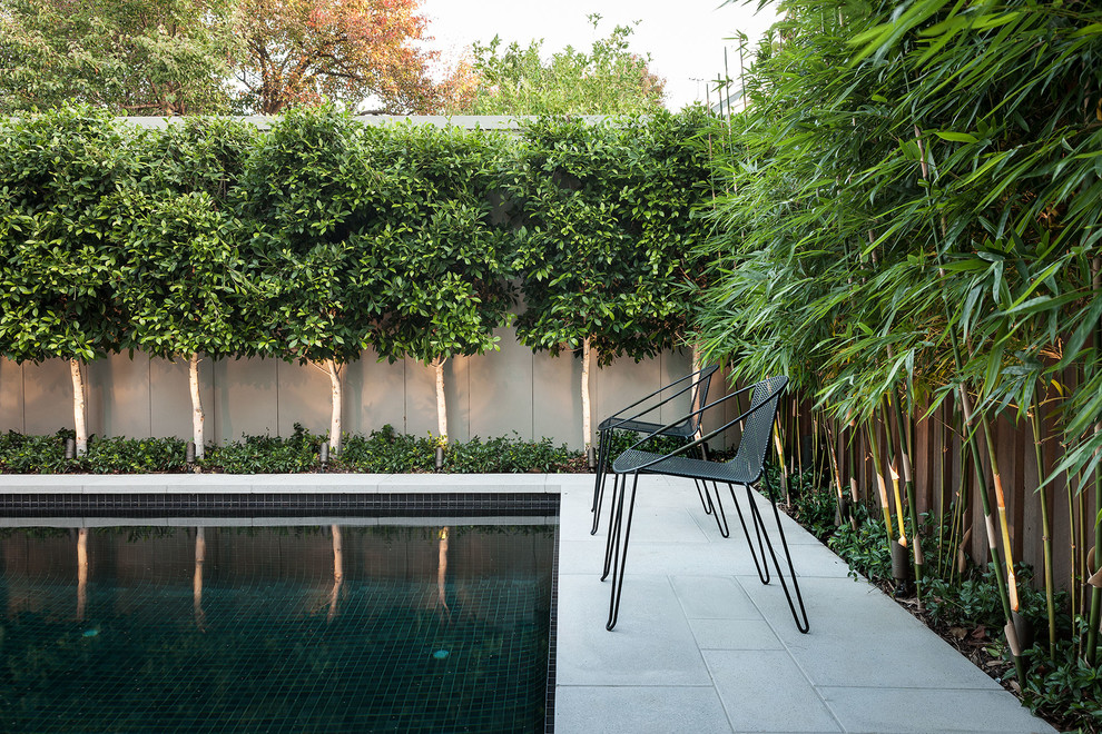 На фото: бассейн в современном стиле с покрытием из декоративного бетона и забором с