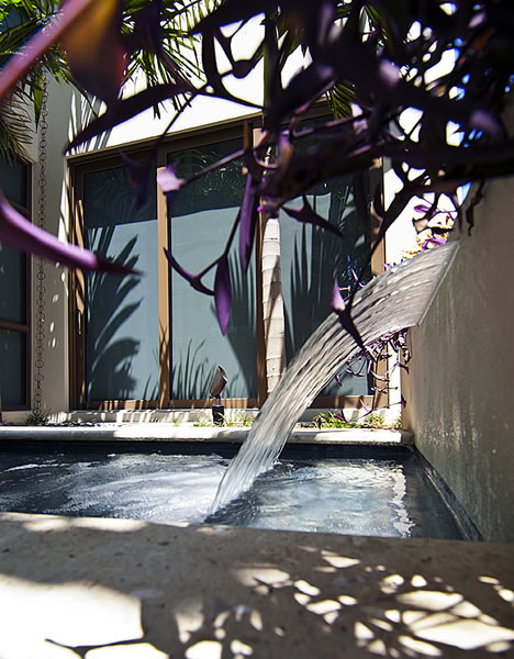Design ideas for a modern swimming pool in Miami.