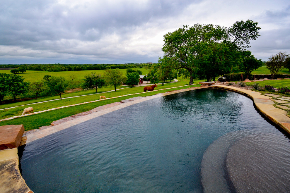 Mittelgroßer Uriger Infinity-Pool hinter dem Haus in individueller Form mit Wasserspiel und Natursteinplatten in Dallas