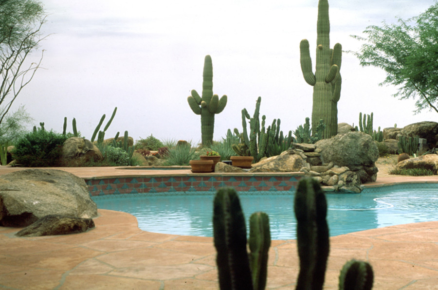 Diseño de piscina infinita tradicional grande tipo riñón en patio trasero con adoquines de hormigón