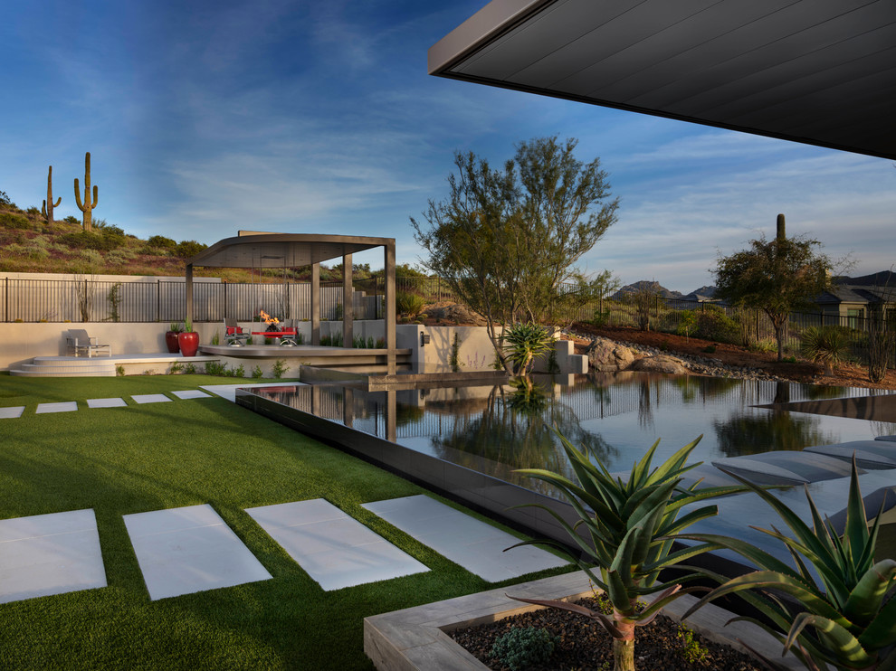 Стильный дизайн: бассейн-инфинити среднего размера, произвольной формы на заднем дворе в стиле модернизм с джакузи и покрытием из плитки - последний тренд