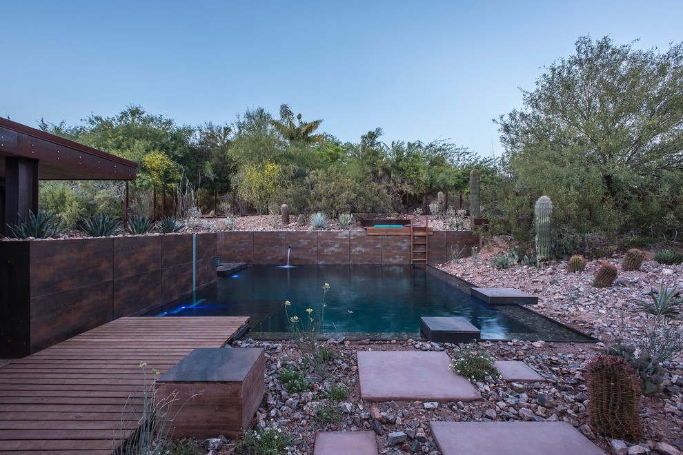 Large urban backyard rectangular natural pool photo in Phoenix