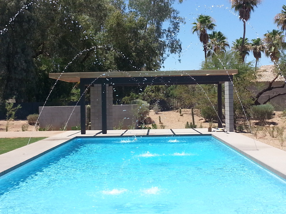 Esempio di un'ampia piscina naturale design rettangolare dietro casa con pedane