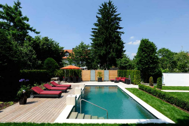 Designgärten Contemporain Piscine Dusseldorf par Gärtner von