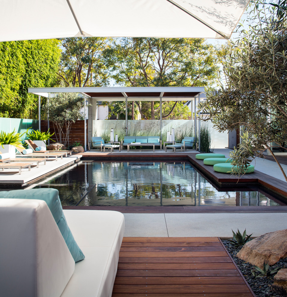 Идея дизайна: большой прямоугольный бассейн на заднем дворе в современном стиле с покрытием из бетонных плит и джакузи