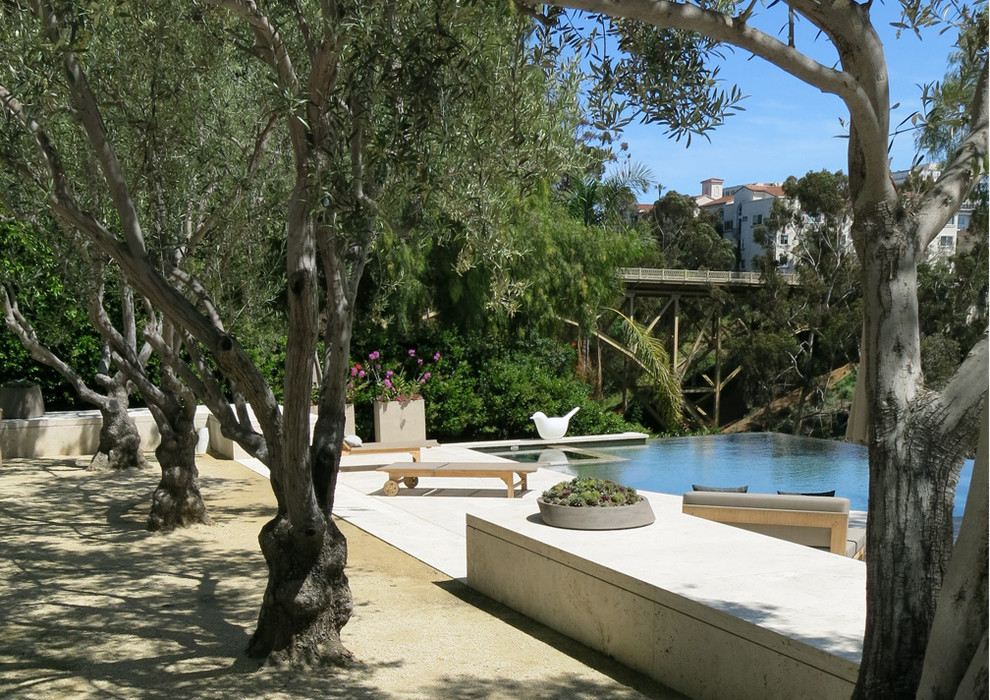 Ispirazione per un'ampia piscina a sfioro infinito minimal personalizzata dietro casa con pavimentazioni in pietra naturale