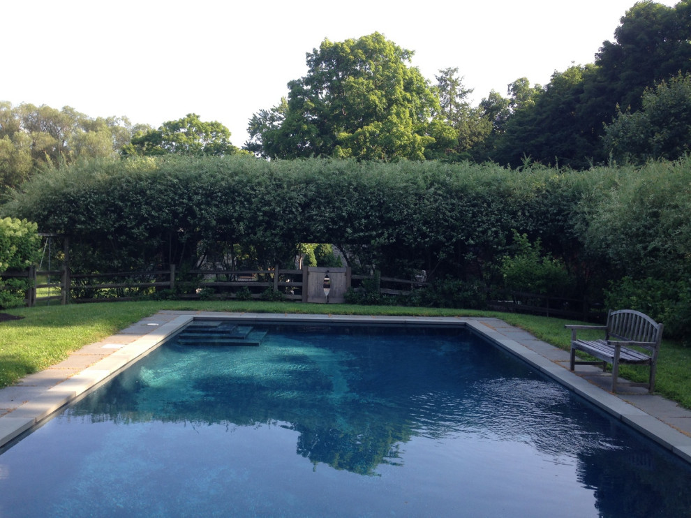 Aménagement d'une piscine naturelle et arrière classique rectangle avec un bain bouillonnant et des pavés en pierre naturelle.