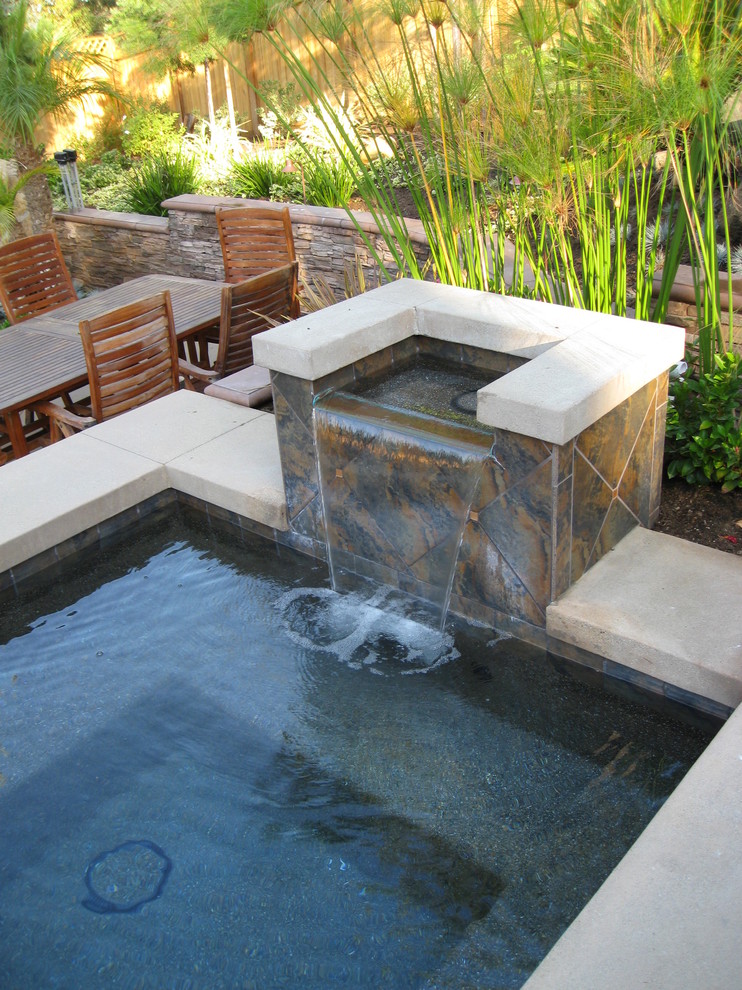 East County San Diego Residence Traditional Pool San Diego by