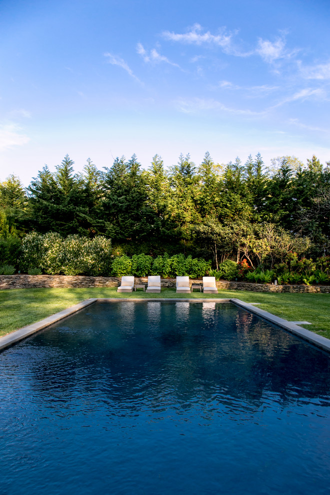 Modelo de piscina natural marinera grande rectangular en patio trasero con adoquines de piedra natural