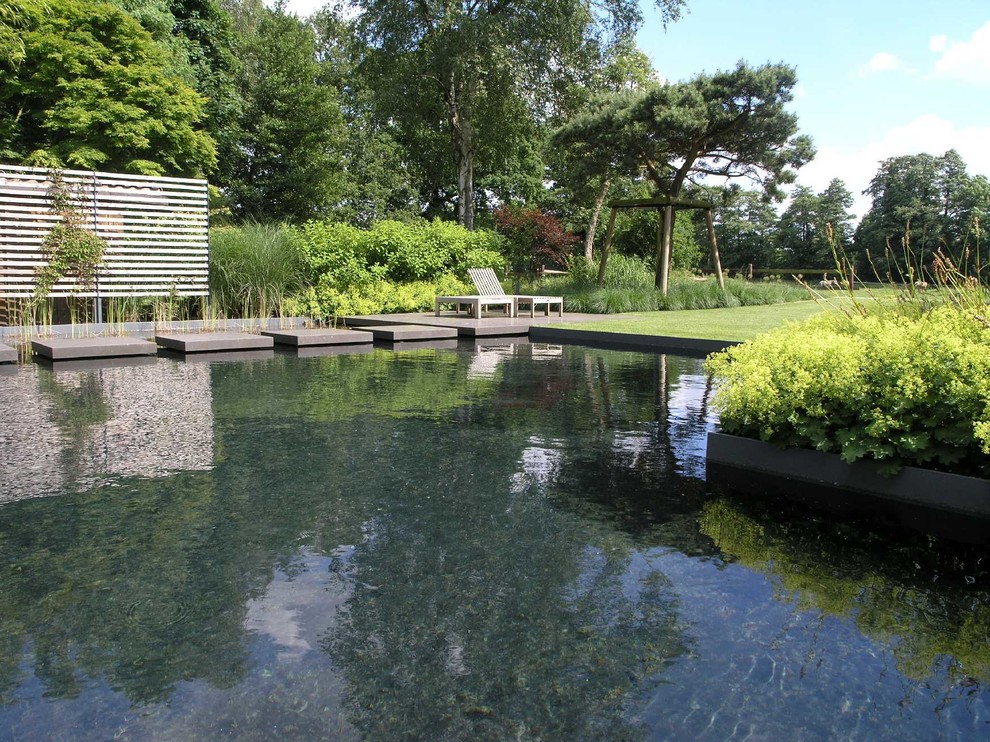 Идея дизайна: огромный естественный бассейн произвольной формы в современном стиле