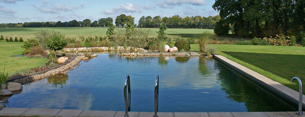 Ejemplo de piscina natural grande a medida en patio trasero con gravilla