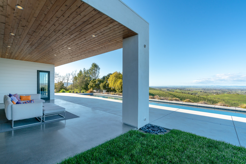 Diseño de piscina alargada minimalista de tamaño medio rectangular en patio trasero con paisajismo de piscina y losas de hormigón
