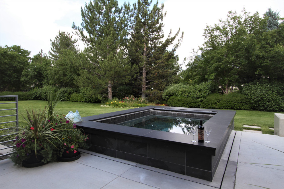 Foto di una piccola piscina fuori terra rettangolare dietro casa con una vasca idromassaggio