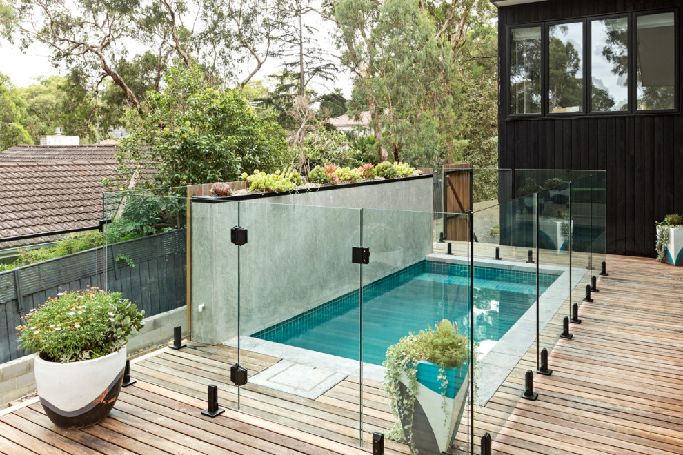 This is an example of a modern swimming pool in Melbourne.