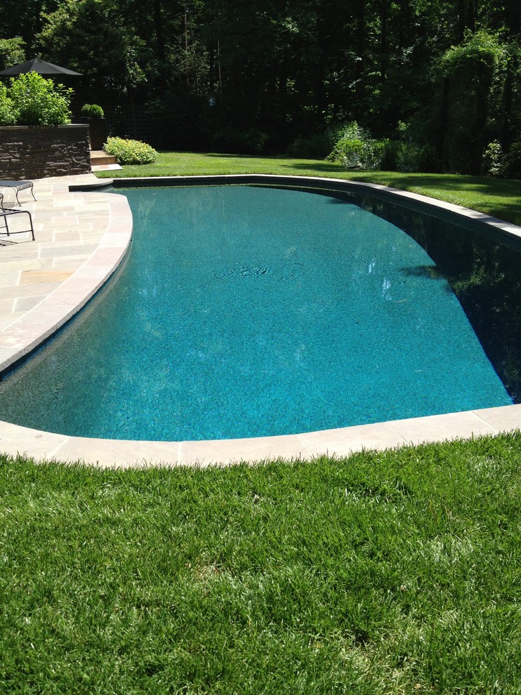 Emerald Bay Pebble Tec Pool Finish Traditional Pool Raleigh by Vue Custom Pools Houzz