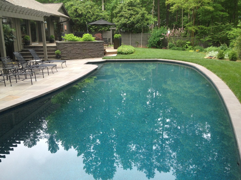 Elegant pool photo in Raleigh