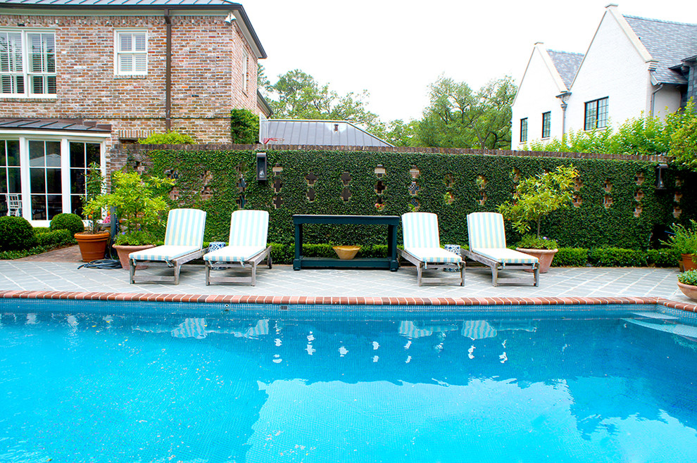 Design ideas for a classic swimming pool in Houston.