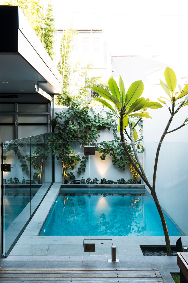 Moderner Pool hinter dem Haus in rechteckiger Form in Sydney