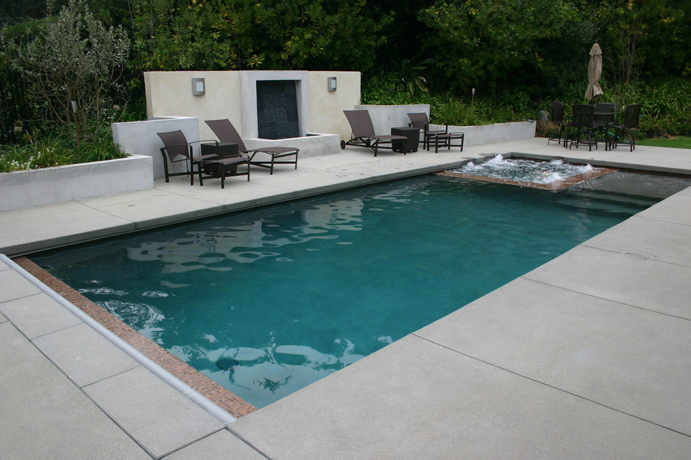 Exemple d'une piscine naturelle et arrière tendance rectangle.