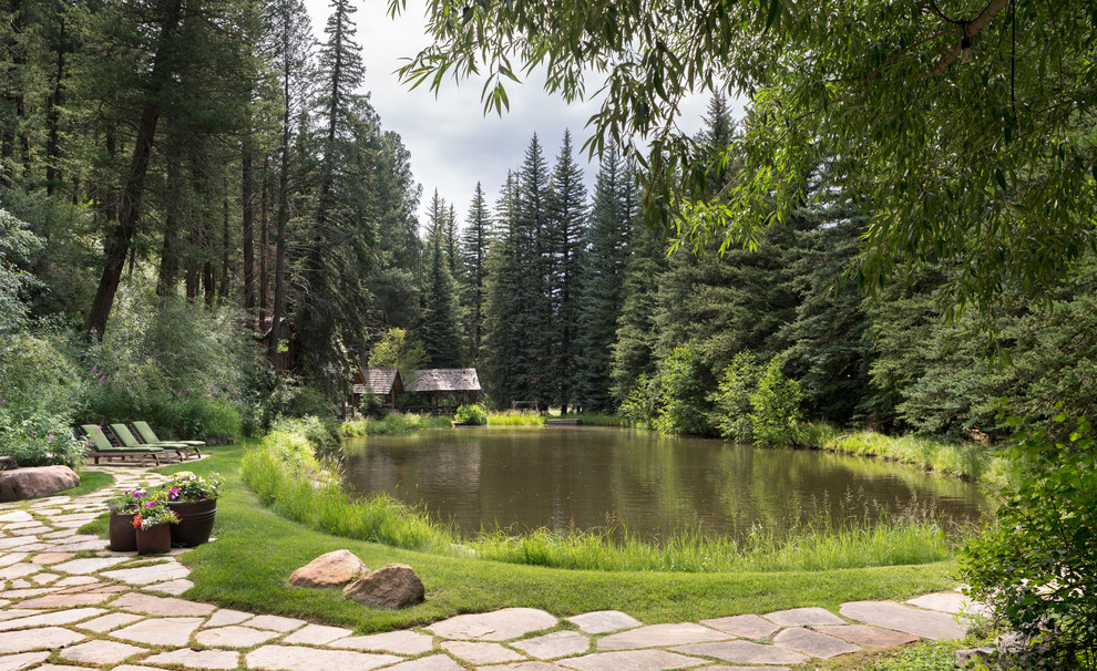 Inspiration for a rustic back round natural swimming pool in Denver.