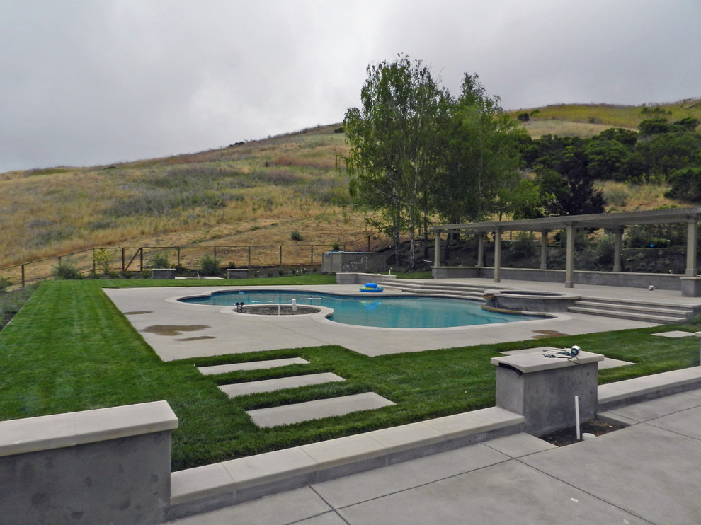 Design ideas for a contemporary swimming pool in San Francisco.