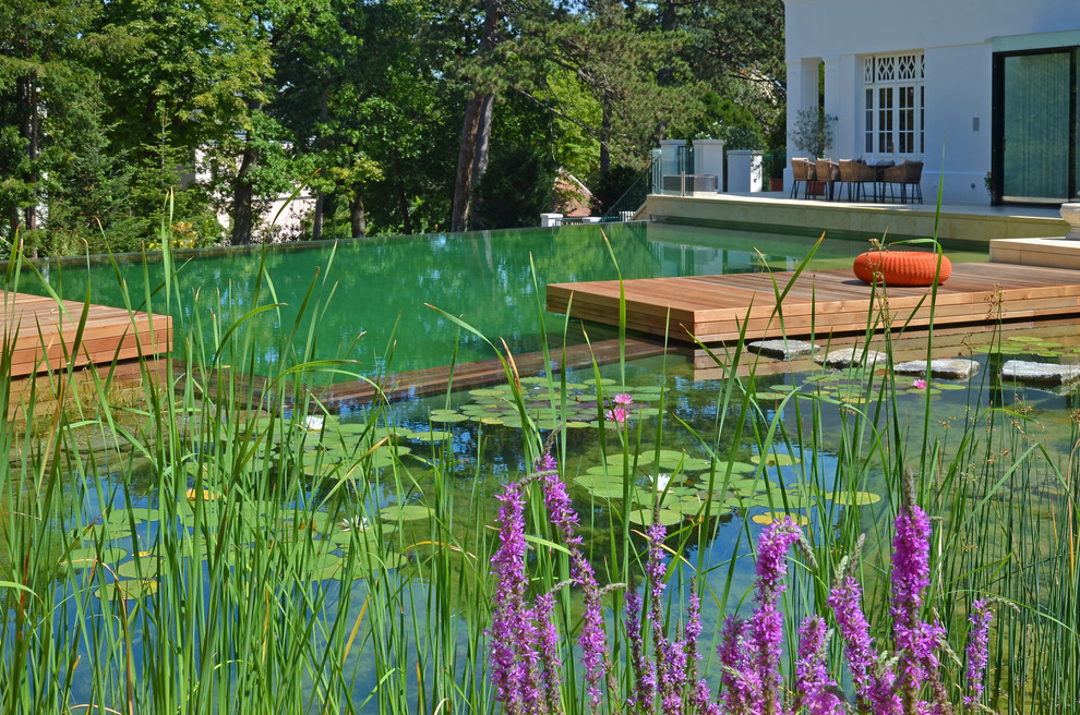Immagine di un'ampia piscina naturale tradizionale personalizzata nel cortile laterale con pedane