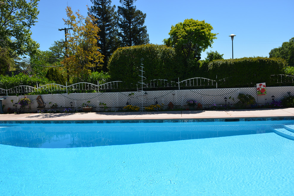 Ejemplo de piscina clásica grande a medida en patio lateral con suelo de hormigón estampado