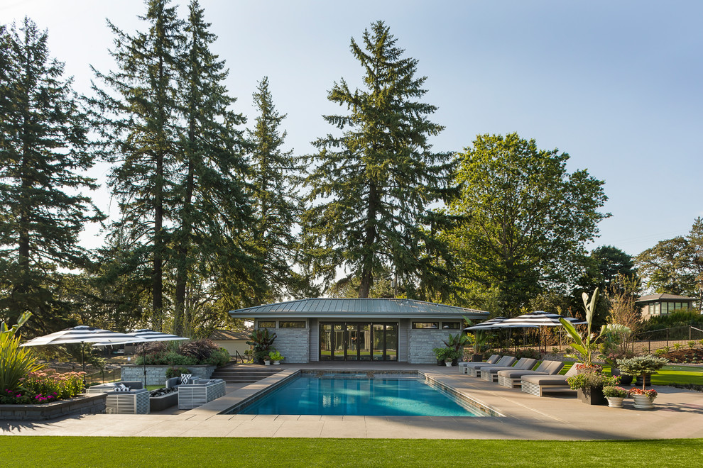 Идея дизайна: большой прямоугольный бассейн на заднем дворе в современном стиле с домиком у бассейна